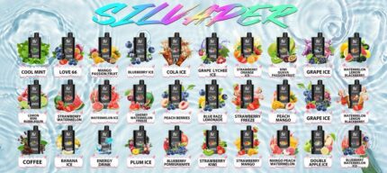 WhatsApp Image 2026-03-11 at 11.46.52 PM Silvaper 24000 Puffs